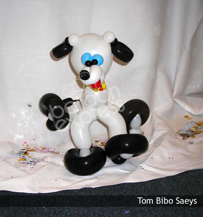 Tom-Bibo-Saeys